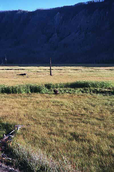p8_2.jpg (14701 bytes)