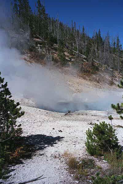 p8_14.jpg (23323 bytes)