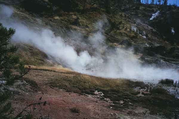 P6_19.jpg (41828 bytes)