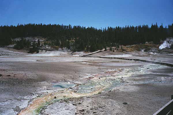 p8_5.jpg (23185 bytes)