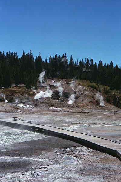 p8_6.jpg (29627 bytes)