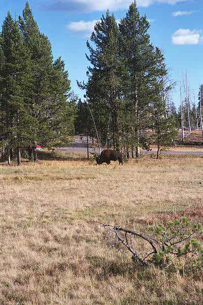 p8_5.jpg (23185 bytes)