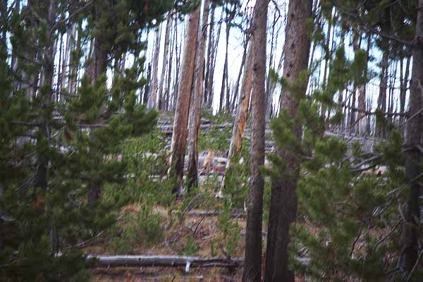 p8_6.jpg (29627 bytes)