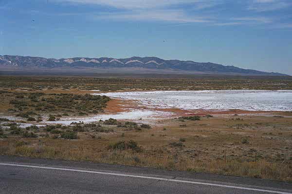 p8_18.jpg (20116 bytes)