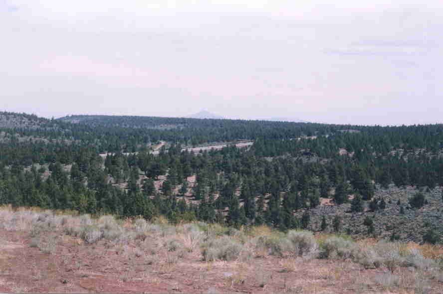 P3_13.jpg (19464 bytes)