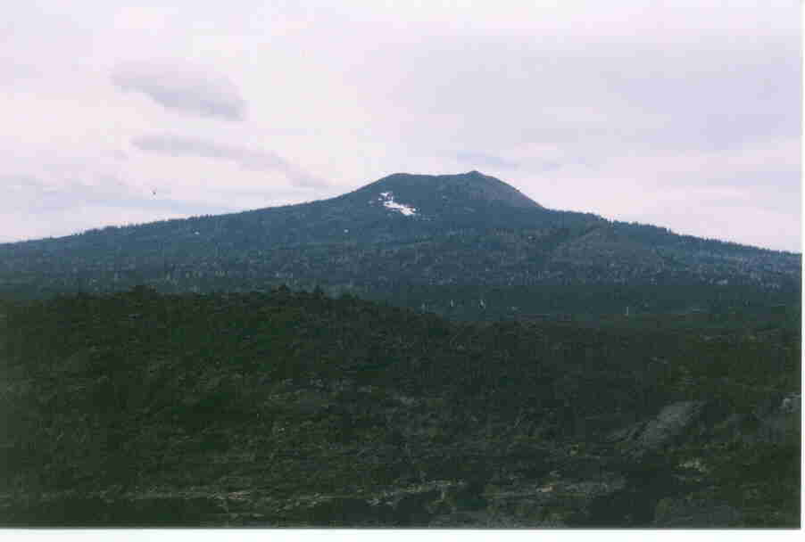 p3_3.jpg (67769 bytes)