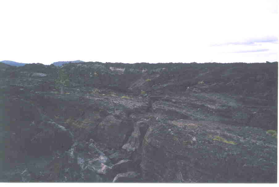 p3_5.jpg (23185 bytes)