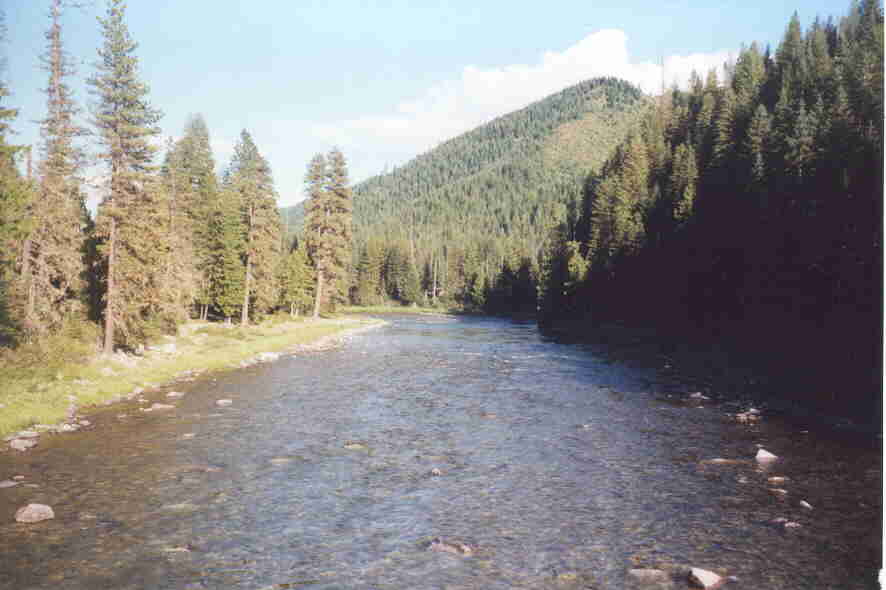 p7_9.jpg (47765 bytes)