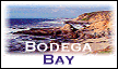 bodegalogo.gif (5904 bytes)
